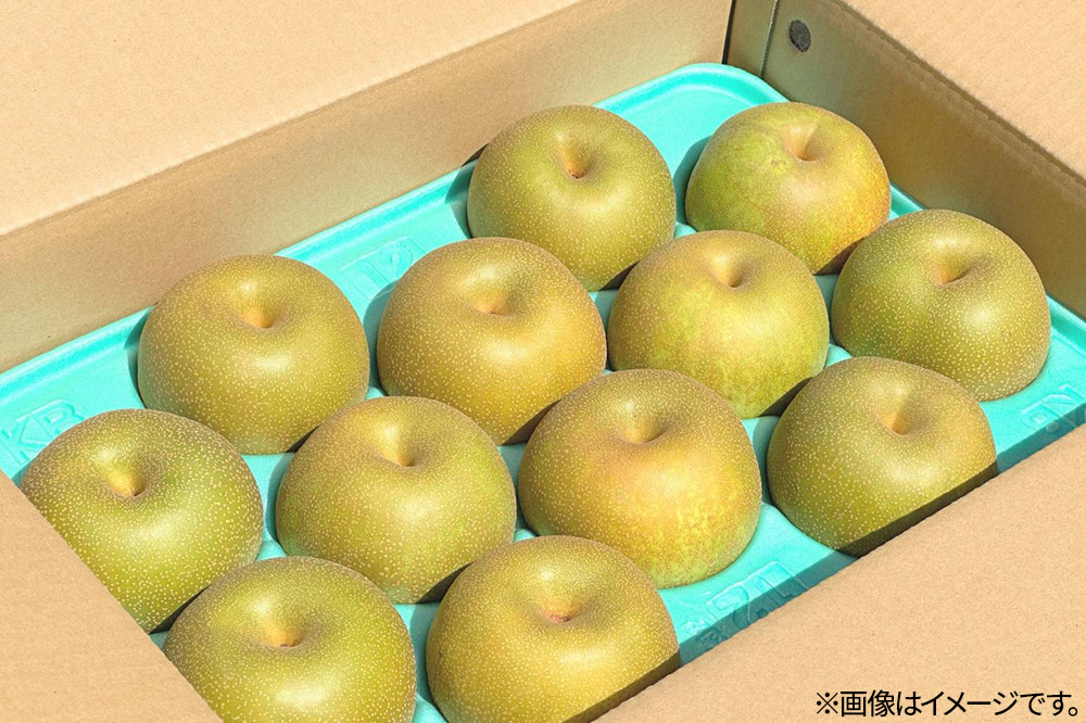 《先行受付》男鹿の梨 豊水 約5kg 8～14玉 梨 秋田県 男鹿市 ＜めぐみ農園＞ 2026年9月中旬より発送