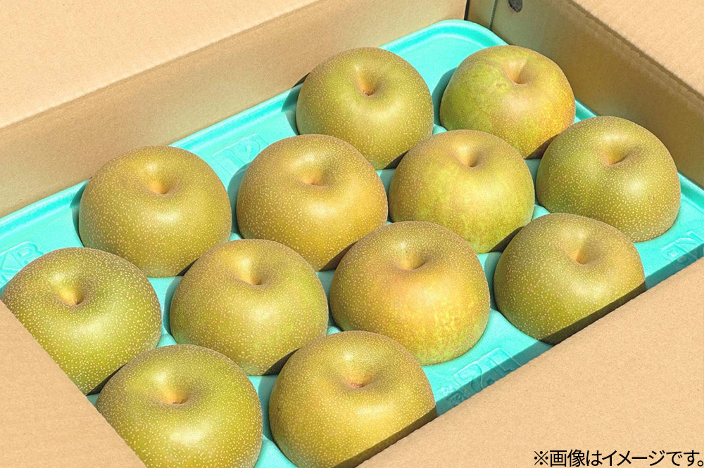 《先行受付》男鹿の梨 南水 約5kg 8～14玉 梨 秋田県 男鹿市 ＜めぐみ農園＞ 2026年9月下旬より発送