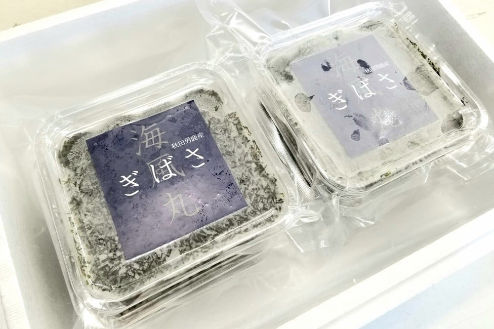 海風丸「ぎばさ」130g×12個セット 秋田県 男鹿市 アカモク ギバサ 無添加 無着色