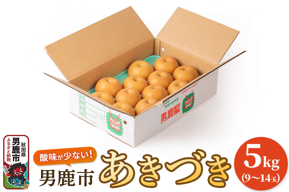 【令和8年度 早期受付】あきづき 5kg 9～14玉 梨 なし ナシ 秋田県 男鹿市 旬の果物 フルーツ