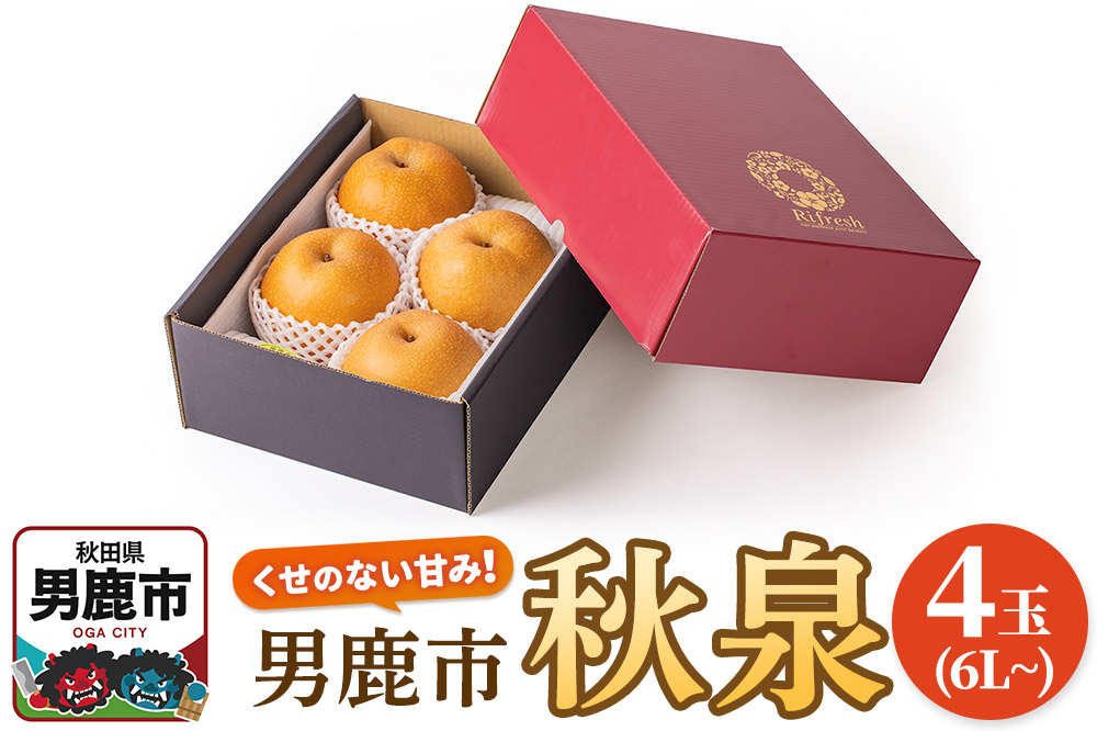 【令和8年度 早期受付】秋泉 梨 4玉 6L～ 梨 なし ナシ 秋田県 男鹿市 旬の果物 フルーツ