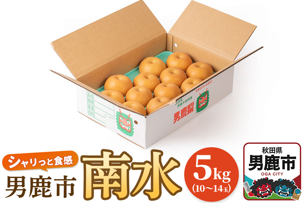 【令和8年度 早期受付】南水 5kg 10玉～14玉 梨 なし ナシ 秋田県 男鹿市 旬の果物 フルーツ