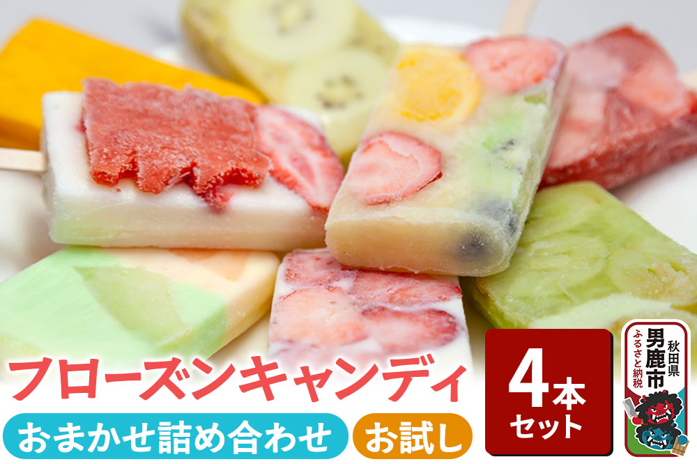 フローズンキャンディ おまかせ 4本 お試しセット ゴンタロー 秋田県 男鹿市 ゴンタロー