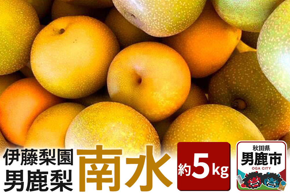 【先行受付】男鹿梨 「伊藤梨園」の南水 梨 約5kg 2L～3L 14玉～16玉 秋田県 男鹿市 旬の果物 2026年10月中旬以降出荷