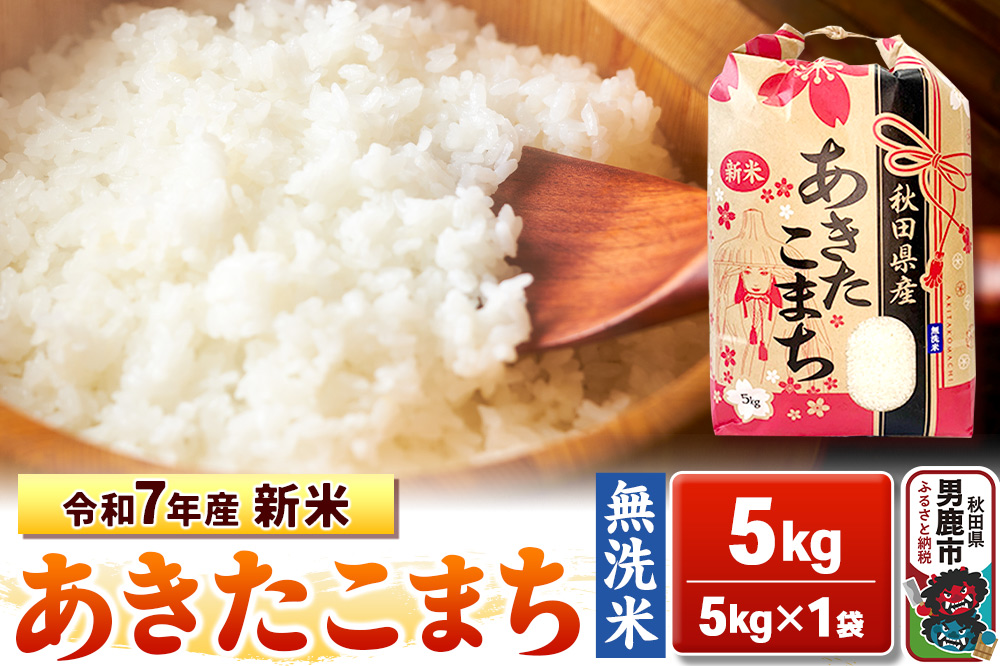 秋田県産 あきたこまち 白米 10キロ 令和7年4月4日精米 令和6年度産