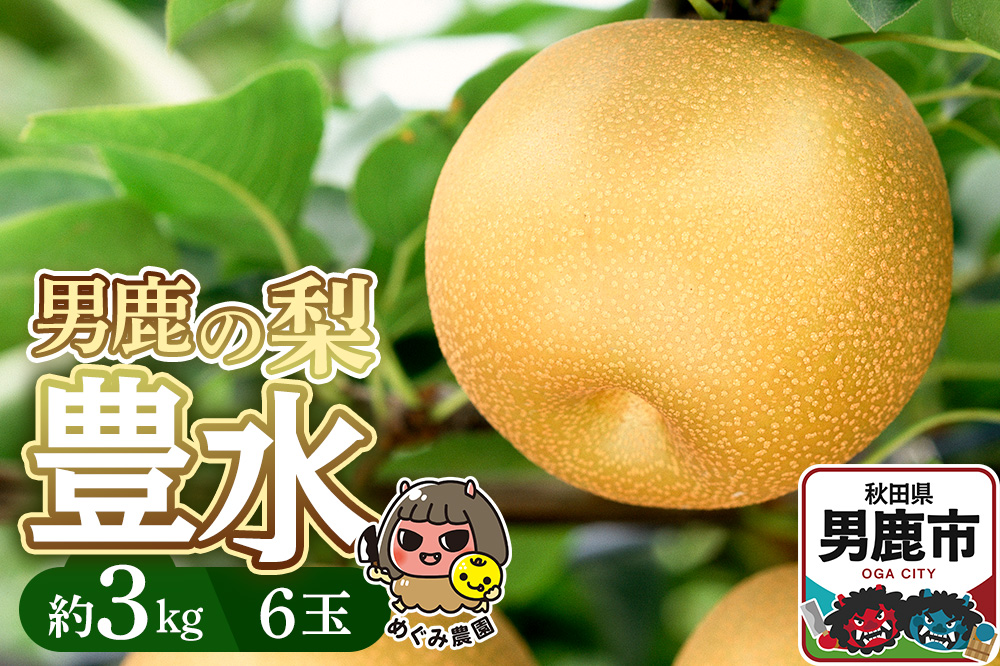 《先行受付》男鹿の梨 豊水 約3kg 6玉 梨 秋田県 男鹿市 ＜めぐみ農園＞ 2026年9月中旬より発送