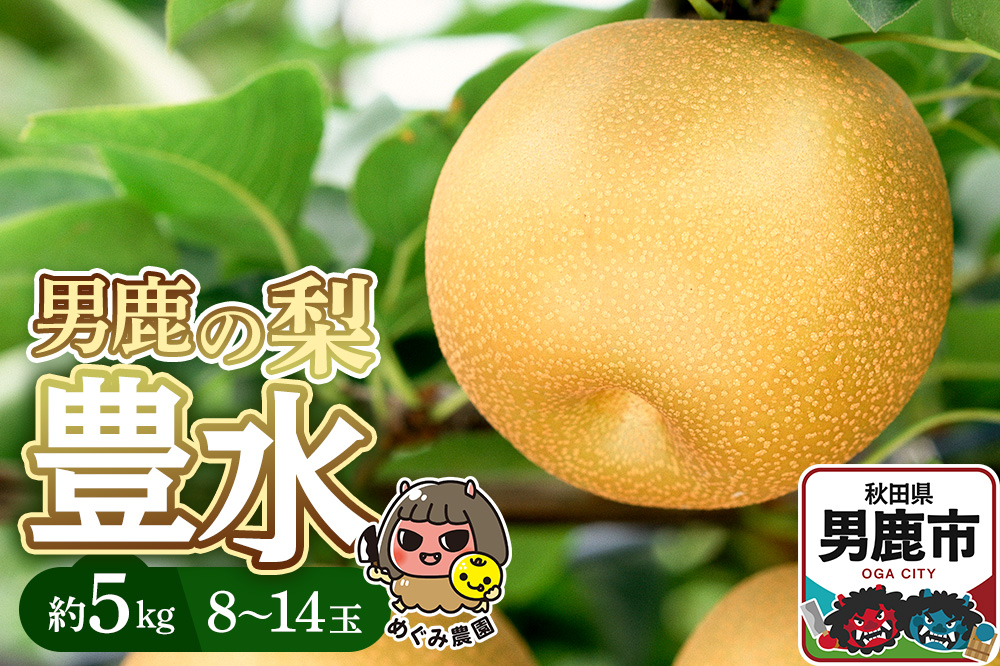 《先行受付》男鹿の梨 豊水 約5kg 8～14玉 梨 秋田県 男鹿市 ＜めぐみ農園＞ 2026年9月中旬より発送
