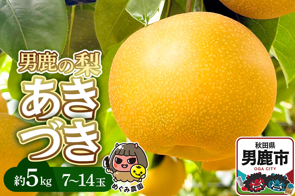《先行受付》男鹿の梨 あきづき 約5kg 7～14玉 梨 秋田県 男鹿市 ＜めぐみ農園＞ 2026年10月上旬より発送