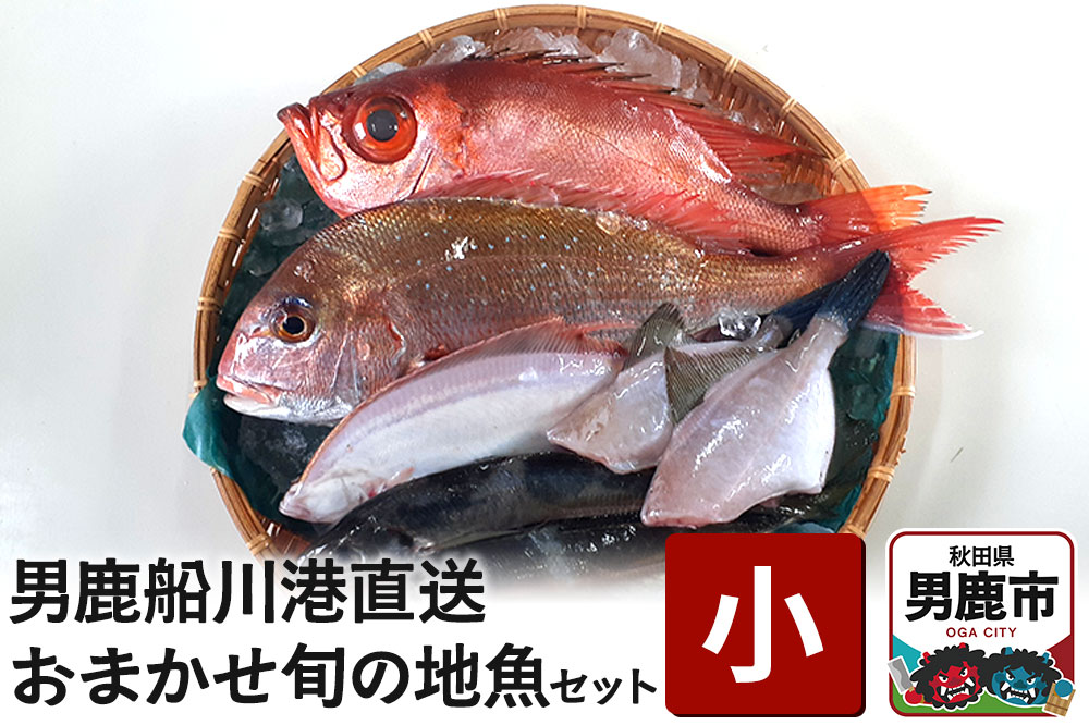 男鹿船川港直送おまかせ旬の地魚セット（小）秋田県 男鹿市 萬漁水産