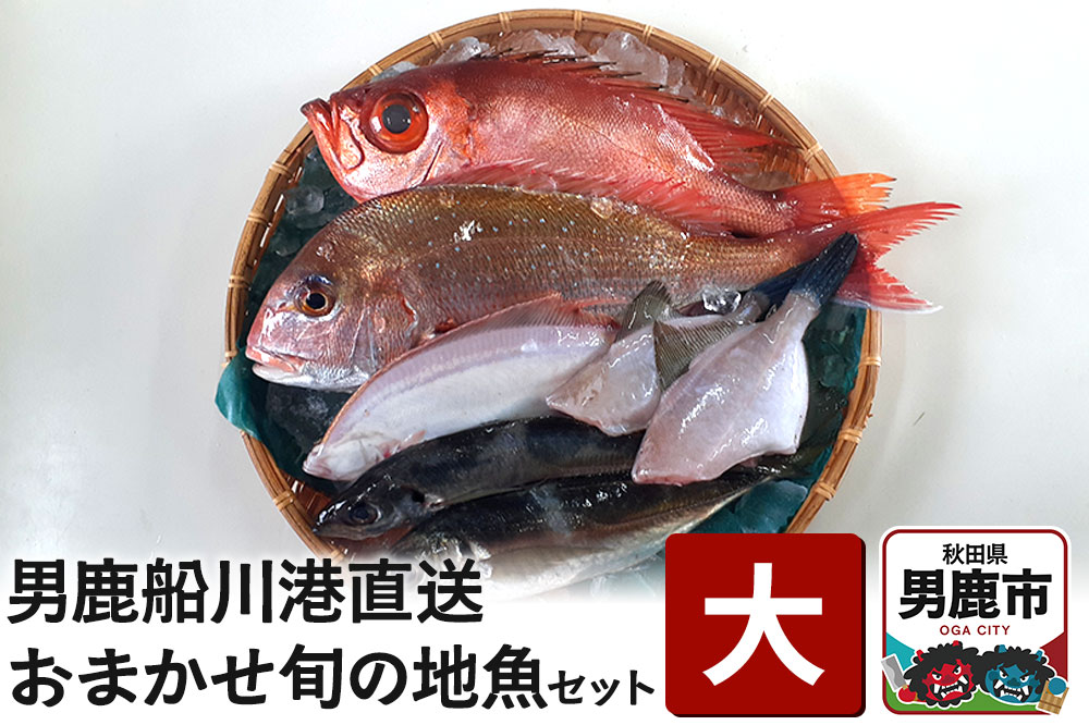 男鹿船川港直送おまかせ旬の地魚セット（大）秋田県 男鹿市 萬漁水産