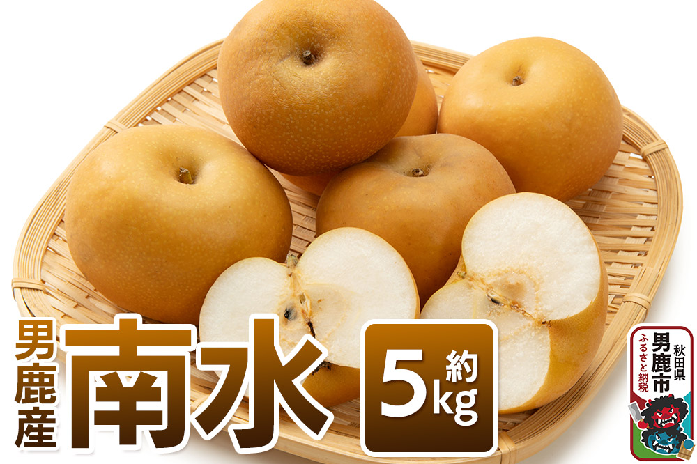 【令和8年度 早期受付】 南水 約5kg 10月中旬～11月中旬発送 梨 旬の果物 ギフト 秋田県 男鹿市 男鹿ファーム直売所
