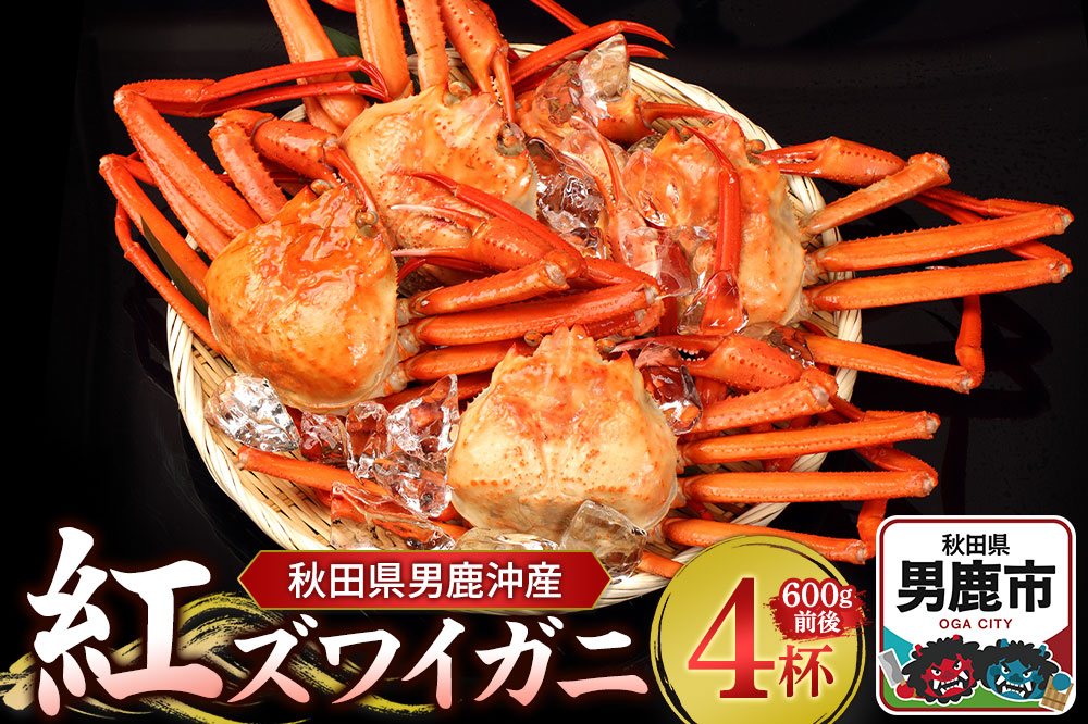 男鹿沖産紅ズワイガニ 600g 前後×4杯 男鹿なび 蟹 カニ 国産 秋田 ずわい蟹 ずわいガニ