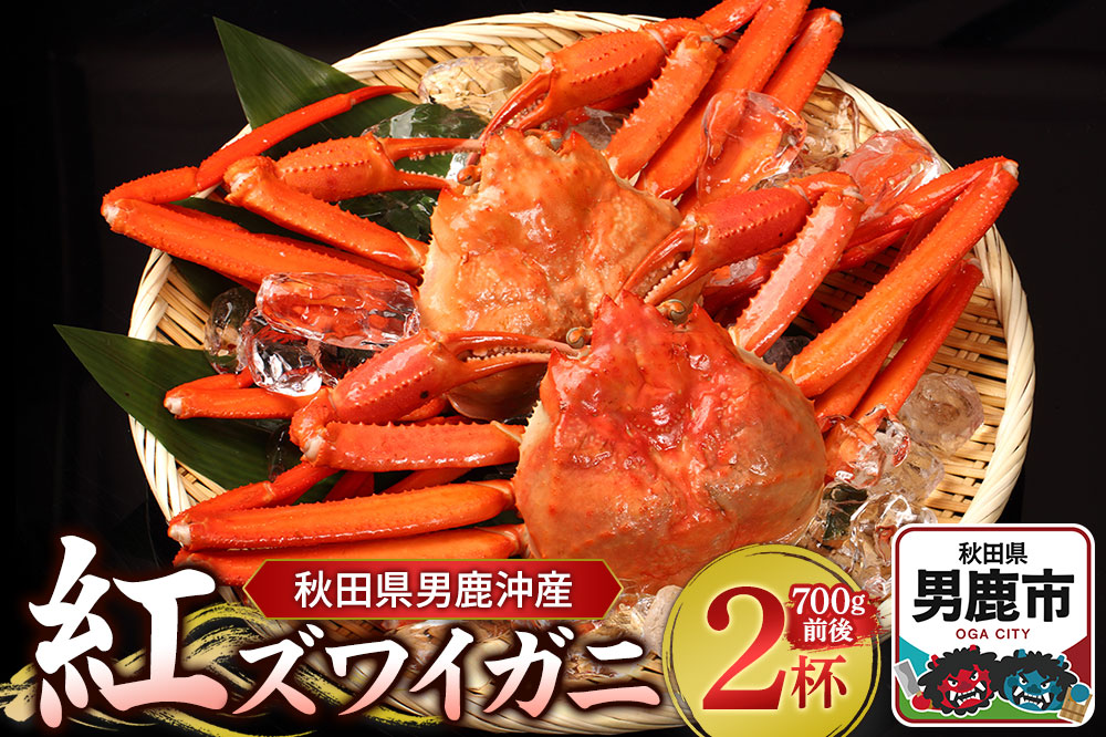 男鹿沖産紅ズワイガニ 700g 前後×2杯 男鹿なび 蟹 カニ 国産 秋田 ずわい蟹 ずわいガニ