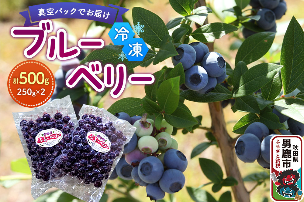 【男鹿ぶるーべりーガーデン】 冷凍ブルーベリー 250g×2パック（合計500g）秋田県 男鹿市