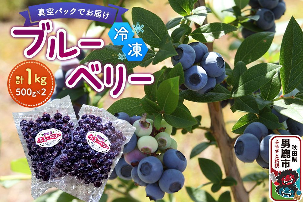 【男鹿ぶるーべりーガーデン】 冷凍ブルーベリー 500g×2パック（合計1kg）秋田県 男鹿市