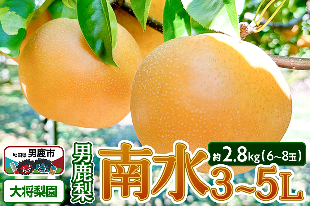 【先行受付】2026年10月上旬～下旬発送 男鹿梨「大将梨園」南水 約2.8kg 6～8玉 3～5L 梨 秋田県 男鹿市