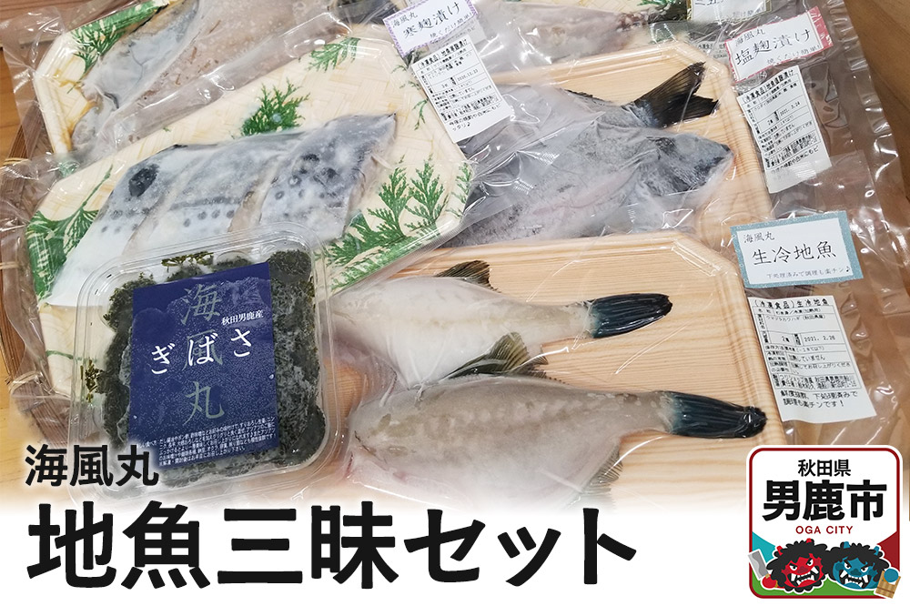 海風丸「地魚三昧セット」 秋田県 男鹿市 漬け魚 一夜干し