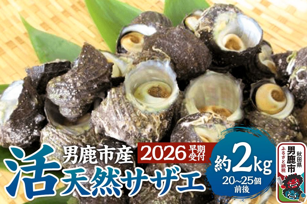 《2026年7月中旬～8月下旬発送》男鹿産天然さざえ 約2kg (約20個～25個) サザエ 栄螺
