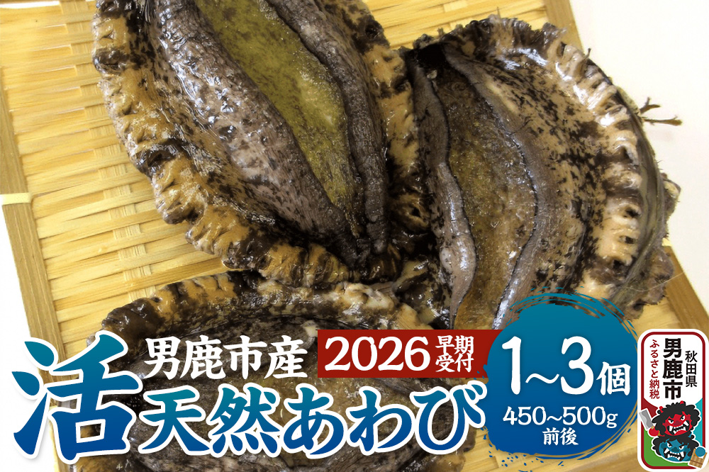 《2026年7月中旬～8月下旬発送》男鹿産天然鮑 2個 (約250～280g) あわび アワビ 秋田 男鹿産