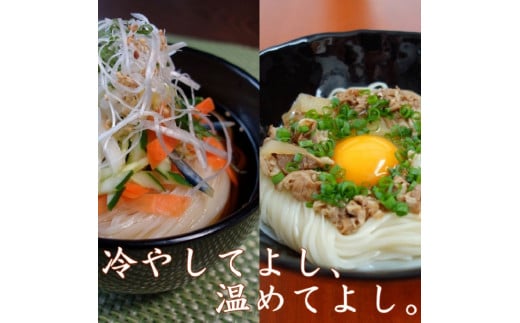 稲庭うどん2人前×15袋【稲庭絹女うどん】[B6-0201]