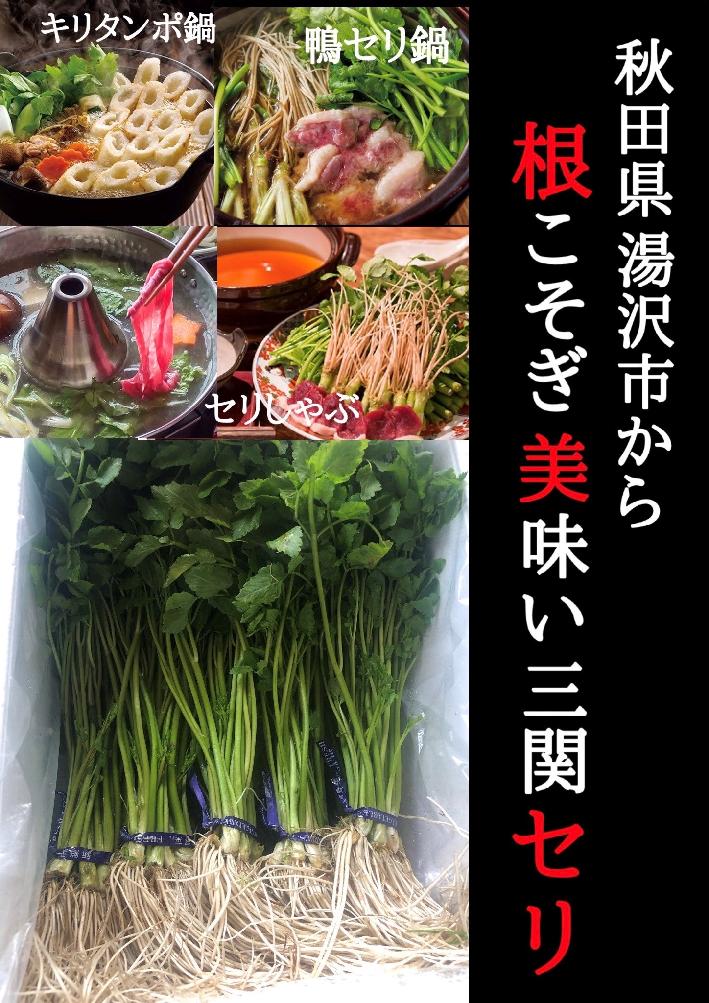 【秋田伝統野菜】三関産せり 5束 せりしゃぶ 冬野菜 鍋料理 セリ鍋 しゃぶしゃぶ 天ぷら おひたし サラダ【BARUバイオジャパン吉村】[B9916]