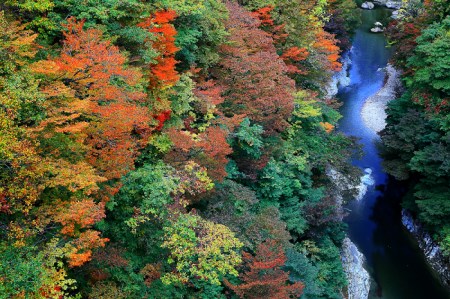 元湯くらぶ 1泊2食付宿泊券（1名様）【元湯くらぶ】[D7001]