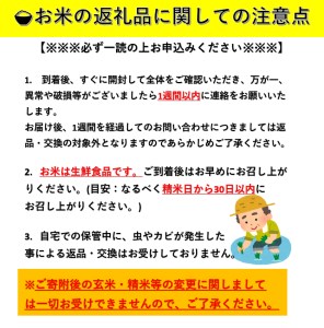 ＼美味しい状態でお届け／ 令和7年産 あきたこまち 今摺り 10kg 精米 白米 農家直送 ＼申込後にもみずり・精米 新鮮な状態でお届け／ ふるさと納税 あきたこまち ふるさと納税 米 令和7年 ふるさと 人気 ランキング【由利 稔幸】[H5-12301]