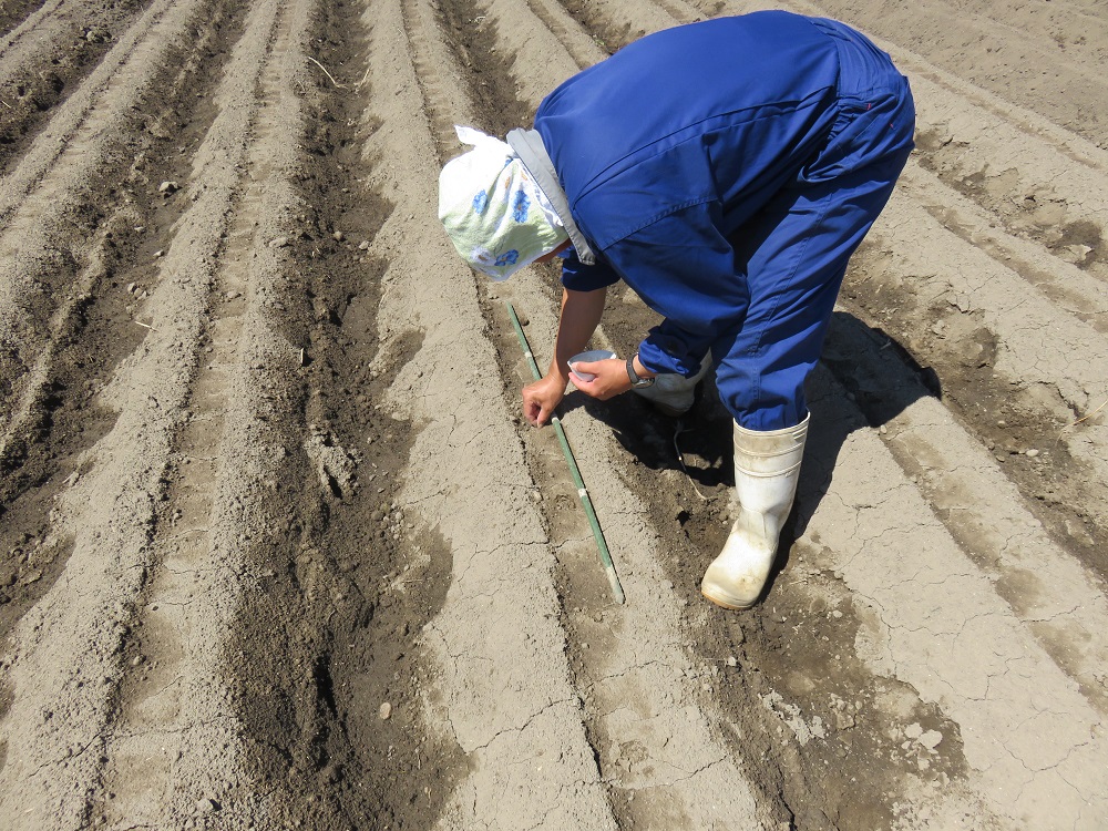 いぶり大根漬け 食べきりサイズ6袋 農薬・添加物不使用【渡部 浩見】[B1-2106]