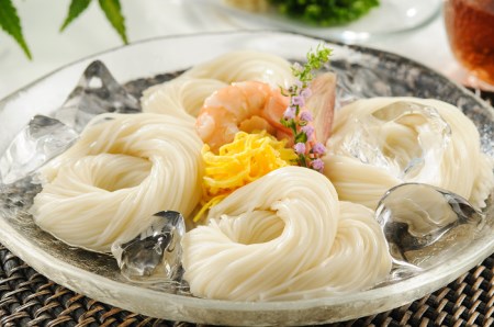 小川の稲庭そうめん VS-40【稲庭うどん小川】[B1-0502]