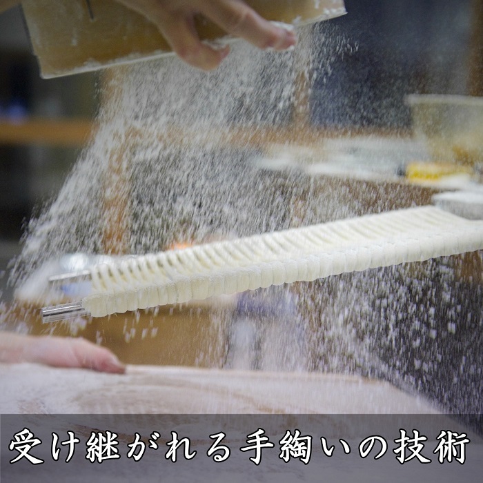 稲庭うどん2人前×10袋【稲庭絹女うどん】[B2-0201]