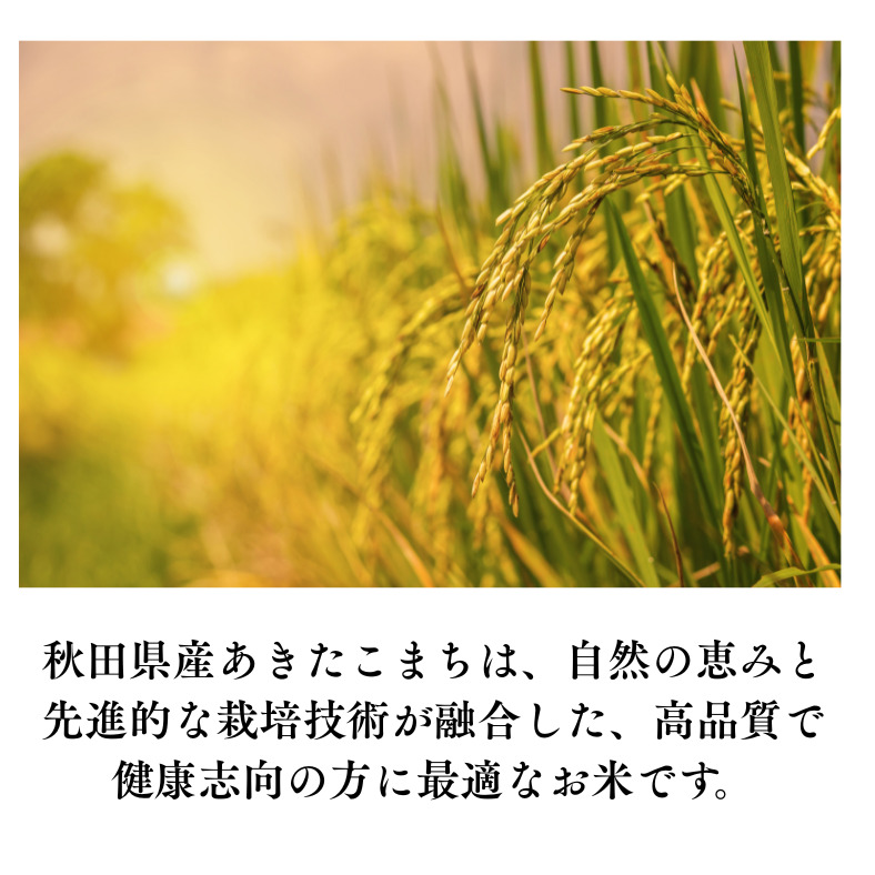 令和7年産 あきたこまち 白米 5kg 秋田県産 湯沢市産 新米 お米 白米 国産 ご飯【BARUバイオジャパン吉村】[B7-9902]
