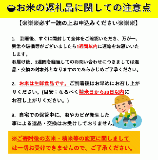 令和7年産米 冷めても美味しい玄米 特別栽培米 金のいぶき 5kg 玄米 米 農家直送 受賞歴多数 ＼自然由来の漢方栽培／ ふるさと 人気 ランキング【渡部 浩見】[B9-2101]