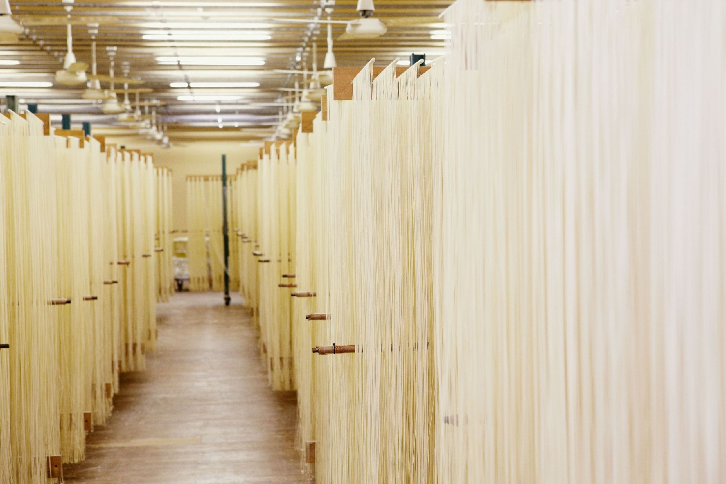 塩麦熟成法特許出願中 稲庭手延饂飩 黄金 TI-50 うどん 稲庭うどん 手延べうどん 乾麺 国産小麦 塩麦熟成法 【(株)後文】[B5-9402]