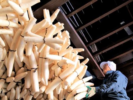 きむらや いぶりがっこと秋田漬物詰合せ10点セット 雪国の朝  【(株)雄勝野きむらや】[B7-4301]