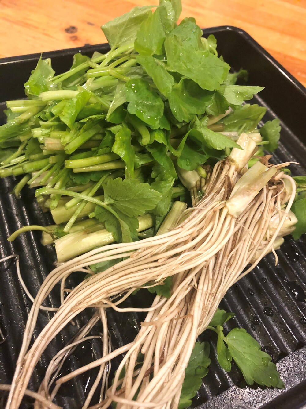 【秋田伝統野菜】三関産せり 5束 せりしゃぶ 冬野菜 鍋料理 セリ鍋 しゃぶしゃぶ 天ぷら おひたし サラダ【BARUバイオジャパン吉村】[B9916]