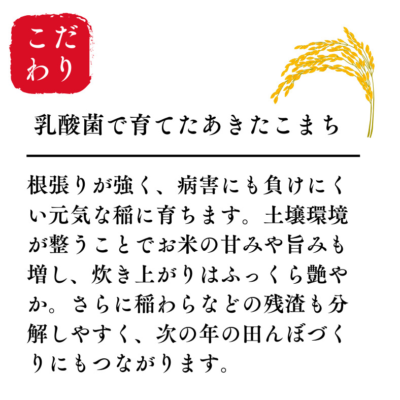 令和7年産 あきたこまち 玄米 30kg 秋田県産 湯沢市産 新米 お米 国産 ご飯【BARUバイオジャパン吉村】[Q3-9901]