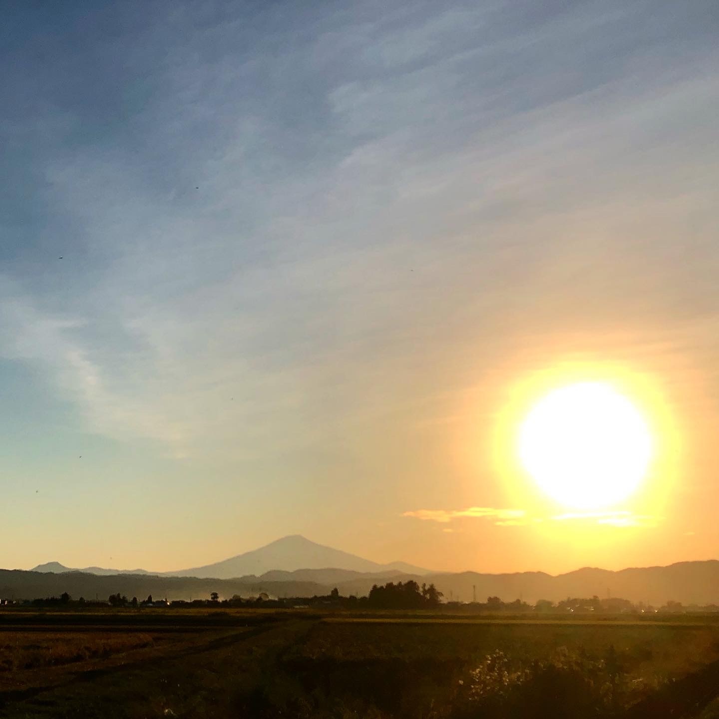 あきたこまち酵素玄米パックごはん【乳酸菌入り】【鈴木又五郎商店】[H2-2301]