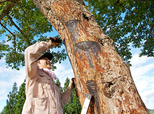 aeru 川連漆器のこぼしにくい器 ボウル 赤紅【(株)和える】[N15602]
