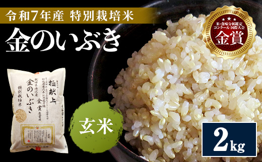 令和7年産米 冷めても美味しい玄米 特別栽培米 金のいぶき 2kg 玄米 米 農家直送 受賞歴多数 ＼自然由来の漢方栽培／ ふるさと 人気 ランキング【渡部 浩見】[B2105]