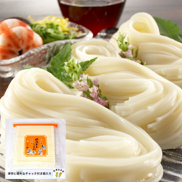 稲庭古来うどん 2,400g チャック付 つゆ付 ふるさと納税 秋田県 稲庭うどん 古来うどん【（有）稲庭古来堂】[B5-1403]