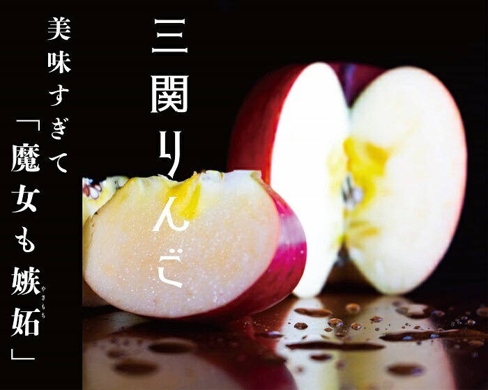 三関産ふじりんご3kg満杯詰め 三関りんご ふじりんご 秋田県産 湯沢市産 果物 フルーツ 産地直送 甘い ジューシー 旬の味覚【奥山農園】[K10401]