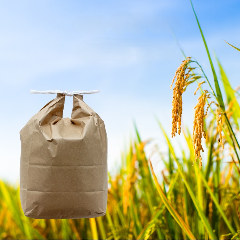 令和7年産 あきたこまち 玄米 30kg 秋田県産 湯沢市産 新米 お米 国産 ご飯【BARUバイオジャパン吉村】[Q3-9901]