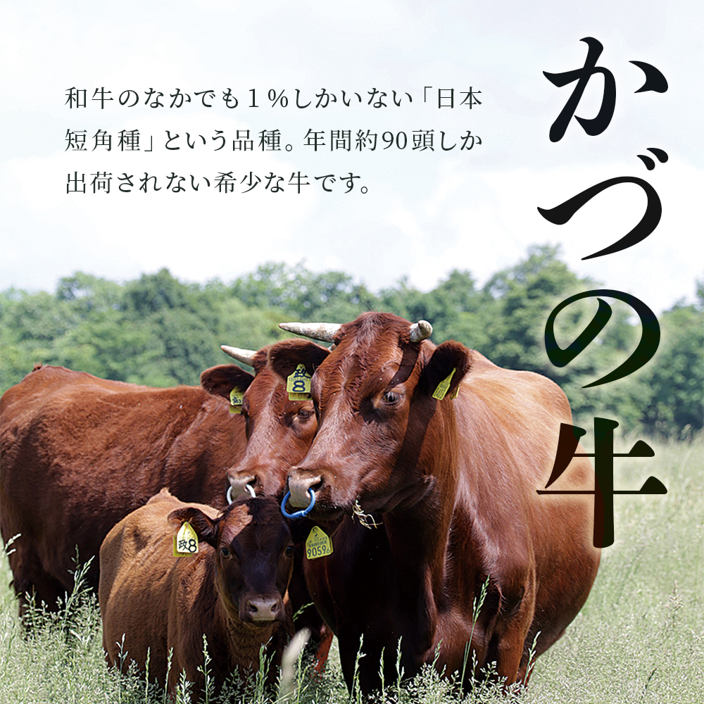 日本短角種かづの牛 切り落とし 630g【秋田県畜産農業協同組合】: 鹿角市ANAのふるさと納税