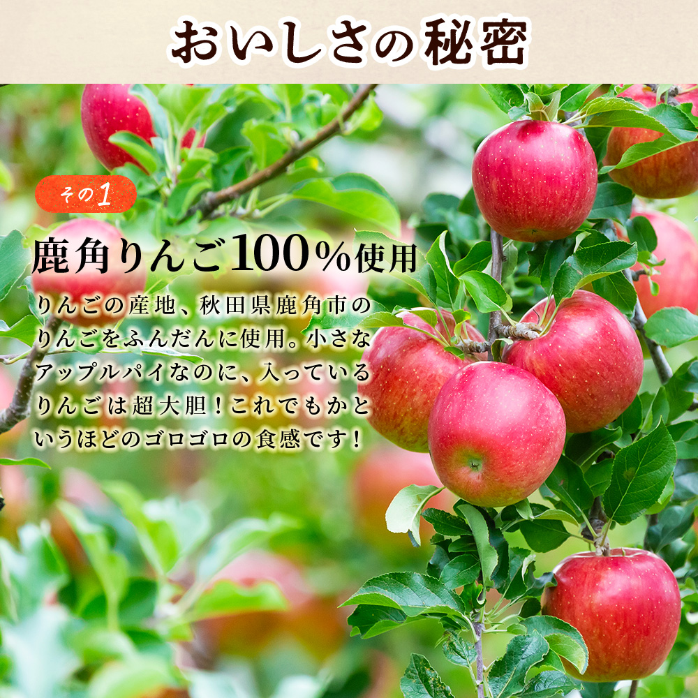 アップルパイ『極』18cmホール【レディースファーム】