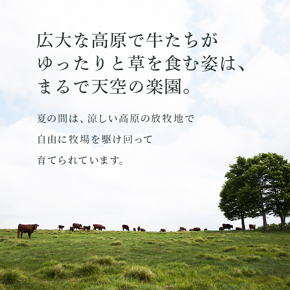 日本短角種かづの牛 切り落とし 630g ●2026年1月中旬発送【秋田県畜産農業協同組合】