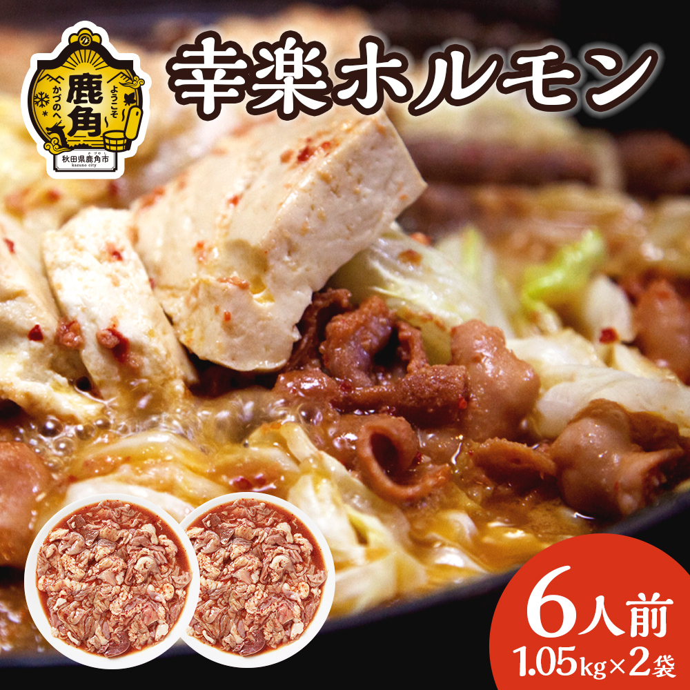 濃い甘の秘伝自家製ダレ 幸楽ホルモン 1.05kg × 2袋 （6人前）【ホルモン幸楽】