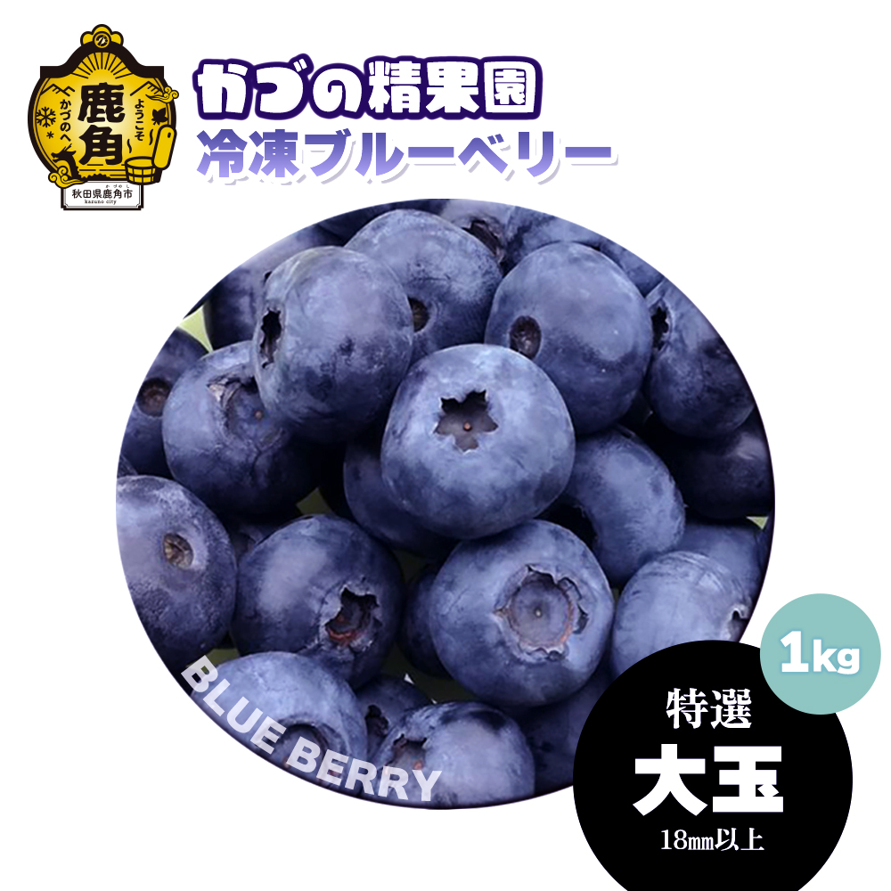 ブルーベリー(冷凍)特選 大玉 1kg[かづの精果園]