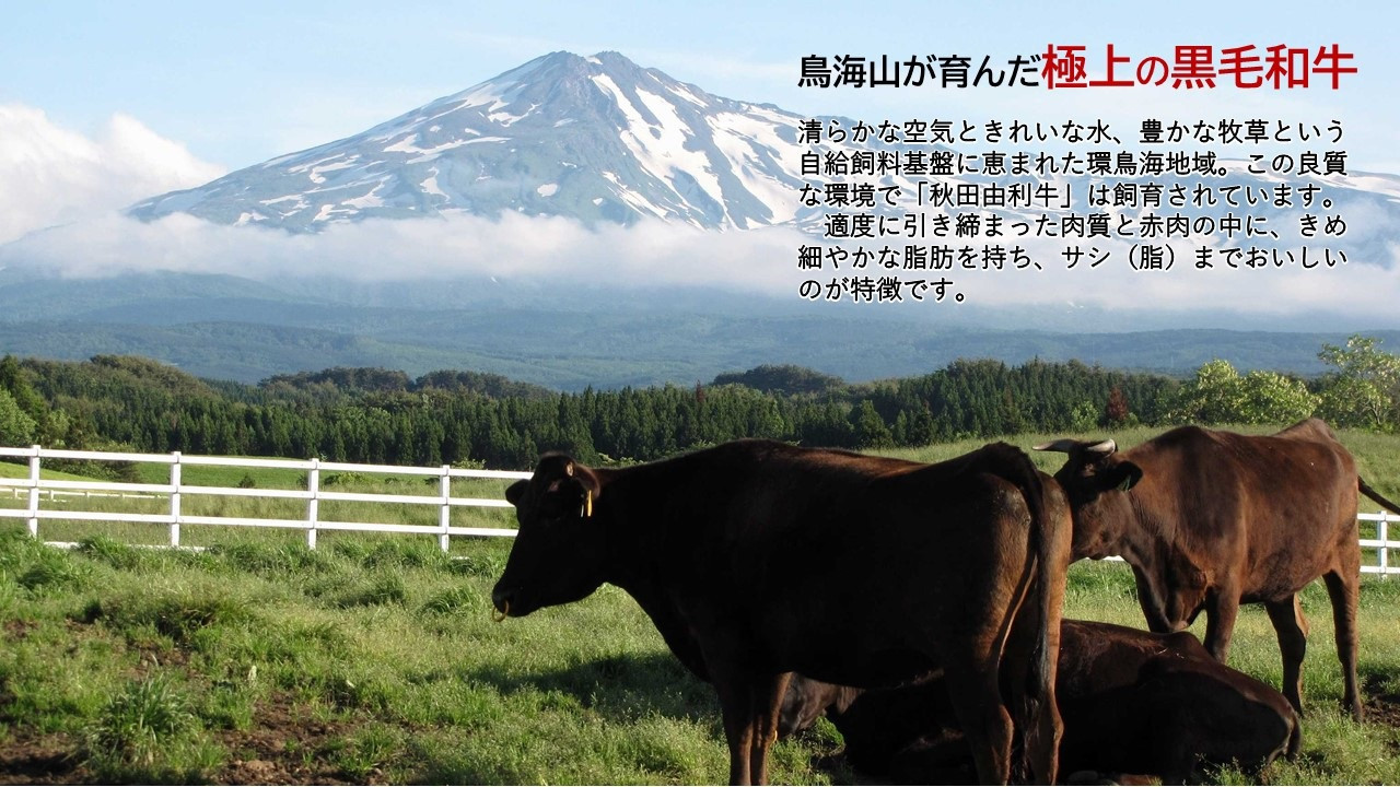 国産黒毛和牛 秋田由利牛ハンバーグ 150ｇ×5個 (ソース付き )