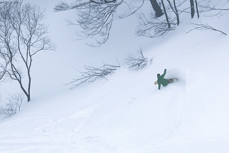 鳥海高原矢島スキー場 リフトシーズン券 大人1枚【営業期間：2025年12月～2026年3月】＜簡易書留＞