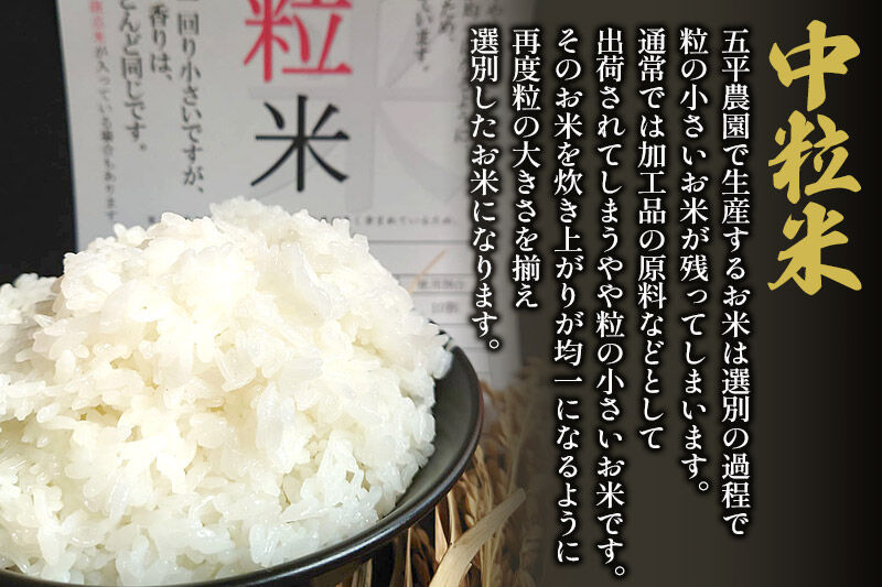 【訳あり】国産ブレンド米 中粒米 5kg [米 お米 米 中粒米 ブレンド米 国産 五平農園 秋田県産 由利本荘市]
